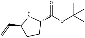 (2S,5S)-5-乙烯基吡咯烷-2-羧酸叔丁酯 结构式