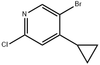 5-溴-2-氯-4-环丙基吡啶 结构式
