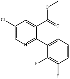Methyl 5-chloro-2-(2,3-difluorophenyl)nicotinate|