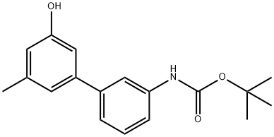 Carbamic acid, N-?(3'-?hydroxy-?5'-?methyl[1,?1'-?biphenyl]?-?3-?yl)?-?, 1,?1-?dimethylethyl ester,1261963-27-2,结构式