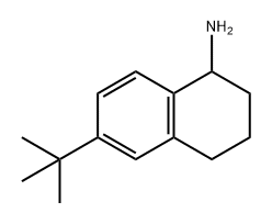 6-tert-butyl-1,2,3,4-tetrahydronaphthalen-1-amine 结构式