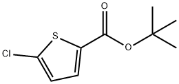 5-氯噻吩-2-羧酸叔丁酯 结构式