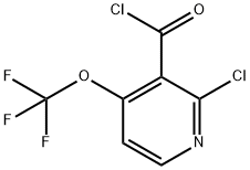 2-Chloro-4-(trifluoromethoxy)pyridine-3-carbonyl chloride Structure