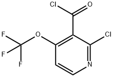 2-Chloro-4-(trifluoromethoxy)pyridine-3-carbonyl chloride,1361696-70-9,结构式