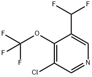 3-Chloro-5-(difluoromethyl)-4-(trifluoromethoxy)pyridine 结构式