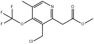 Methyl 3-(chloromethyl)-5-methyl-4-(trifluoromethoxy)pyridine-2-acetate 结构式