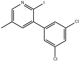 3-(3,5-Dichlorophenyl)-2-iodo-5-methylpyridine 结构式