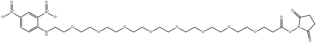 DNP-PEG8-NHS ester Struktur