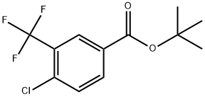 4-氯-3-(三氟甲基)苯甲酸叔丁酯 结构式