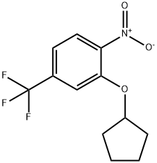 2-(cyclopentyloxy)-1-nitro-4-(trifluoromethyl)benzene 结构式