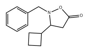 5-Isoxazolidinone, 3-cyclobutyl-2-(phenylmethyl)-