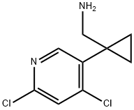 Cyclopropanemethanamine, 1-(4,6-dichloro-3-pyridinyl)- Structure