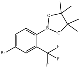 2-(4-Bromo-2-(trifluoromethyl)phenyl)-4,4,5,5-tetramethyl-1,3,2-dioxaborolane 化学構造式