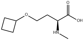 L-Homoserine, O-cyclobutyl-N-methyl- 结构式
