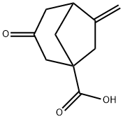 6-Methylene-3-oxobicyclo[3.2.1]octane-1-carboxylic acid Structure