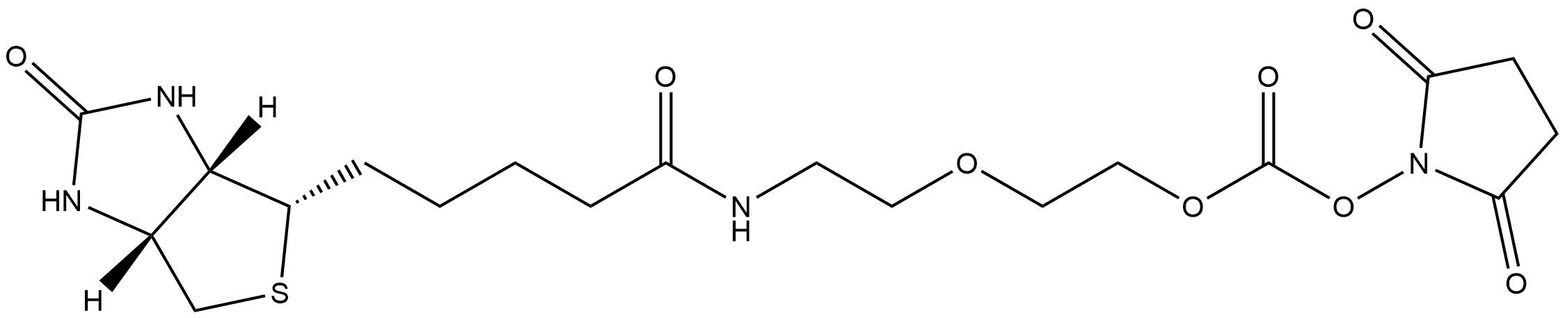 2,5-Dioxo-1-pyrrolidinyl 2-[2-[[5-[(3aS,4S,6aR)-hexahydro-2-oxo-1H-thieno[3,4-d]imidazol-4-yl]-1-oxopentyl]amino]ethoxy]ethyl carbonate Struktur