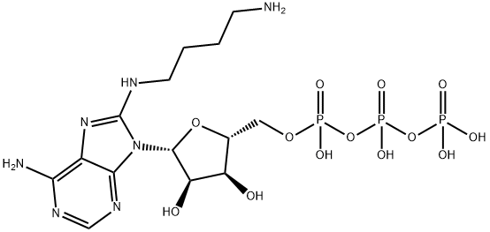 8-[(4-Amino)butyl]-amino-ATP Structure