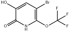 5-Bromo-2,3-dihydroxy-6-(trifluoromethoxy)pyridine 结构式