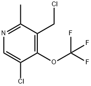 5-Chloro-3-(chloromethyl)-2-methyl-4-(trifluoromethoxy)pyridine,1803619-29-5,结构式