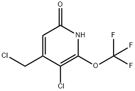 3-Chloro-4-(chloromethyl)-6-hydroxy-2-(trifluoromethoxy)pyridine 结构式