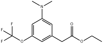 Ethyl 3-dimethylamino-5-(trifluoromethoxy)phenylacetate,1803816-01-4,结构式