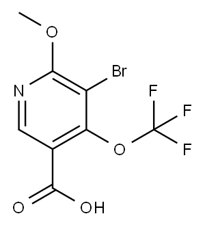 3-Bromo-2-methoxy-4-(trifluoromethoxy)pyridine-5-carboxylic acid 结构式