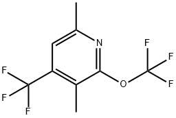 3,6-Dimethyl-2-(trifluoromethoxy)-4-(trifluoromethyl)pyridine 结构式