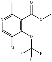 Methyl 5-chloro-2-methyl-4-(trifluoromethoxy)pyridine-3-carboxylate 结构式