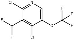 2,4-Dichloro-3-(difluoromethyl)-5-(trifluoromethoxy)pyridine 结构式