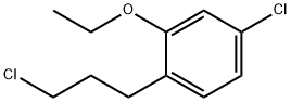 1-Chloro-4-(3-chloropropyl)-3-ethoxybenzene 结构式