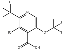 3-Hydroxy-5-(trifluoromethoxy)-2-(trifluoromethyl)pyridine-4-carboxylic acid 结构式