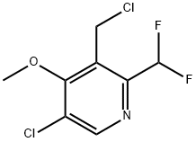 5-Chloro-3-(chloromethyl)-2-(difluoromethyl)-4-methoxypyridine,1804370-67-9,结构式