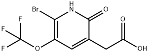 2-Bromo-6-hydroxy-3-(trifluoromethoxy)pyridine-5-acetic acid Structure