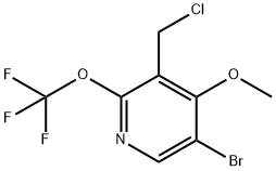 5-Bromo-3-(chloromethyl)-4-methoxy-2-(trifluoromethoxy)pyridine 结构式