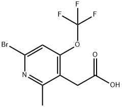 6-Bromo-2-methyl-4-(trifluoromethoxy)pyridine-3-acetic acid,1804604-36-1,结构式