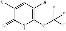3-Bromo-5-chloro-6-hydroxy-2-(trifluoromethoxy)pyridine 结构式