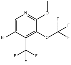 5-Bromo-2-methoxy-3-(trifluoromethoxy)-4-(trifluoromethyl)pyridine 结构式