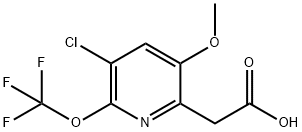 3-Chloro-5-methoxy-2-(trifluoromethoxy)pyridine-6-acetic acid,1804695-24-6,结构式