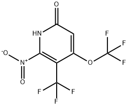6-Hydroxy-2-nitro-4-(trifluoromethoxy)-3-(trifluoromethyl)pyridine 结构式