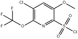 3-Chloro-5-methoxy-2-(trifluoromethoxy)pyridine-6-sulfonyl chloride Structure