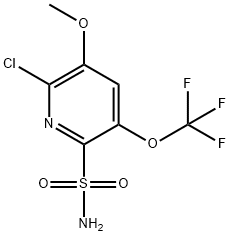 2-Chloro-3-methoxy-5-(trifluoromethoxy)pyridine-6-sulfonamide 结构式