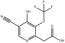 5-Cyano-4-hydroxy-3-(trifluoromethoxy)pyridine-2-acetic acid 结构式