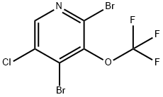 5-Chloro-2,4-dibromo-3-(trifluoromethoxy)pyridine Struktur