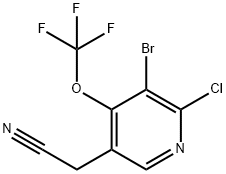 3-Bromo-2-chloro-4-(trifluoromethoxy)pyridine-5-acetonitrile 结构式