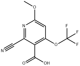 2-Cyano-6-methoxy-4-(trifluoromethoxy)pyridine-3-carboxylic acid 结构式