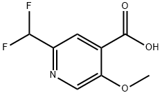 2-(二氟甲基)-5-甲氧基异烟酸, 1806063-51-3, 结构式