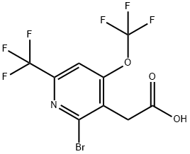 2-Bromo-4-(trifluoromethoxy)-6-(trifluoromethyl)pyridine-3-acetic acid 结构式