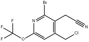 2-Bromo-4-(chloromethyl)-6-(trifluoromethoxy)pyridine-3-acetonitrile,1806085-89-1,结构式
