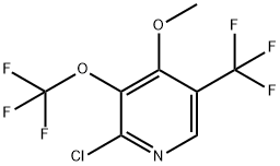 2-Chloro-4-methoxy-3-(trifluoromethoxy)-5-(trifluoromethyl)pyridine,1806127-25-2,结构式