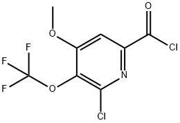 2-Chloro-4-methoxy-3-(trifluoromethoxy)pyridine-6-carbonyl chloride 结构式